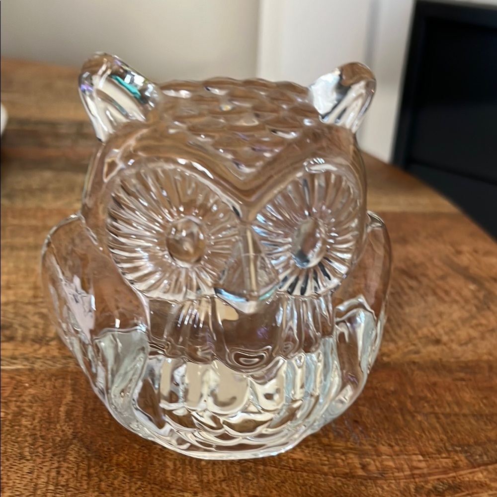 Party lite Clear Glass Owl Figurine